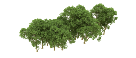 Green forest isolated on background. 3d rendering - illustration png