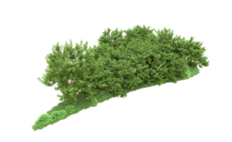 vert forêt isolé sur Contexte. 3d le rendu - illustration png