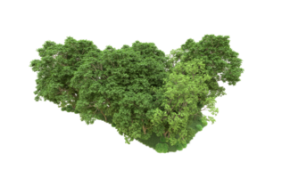 Green forest isolated on background. 3d rendering - illustration png