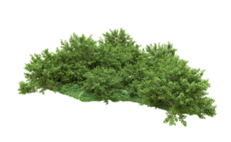 Green forest isolated on background. 3d rendering - illustration png