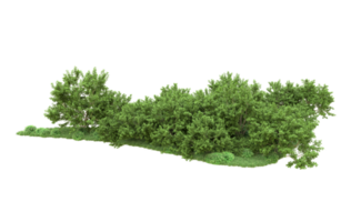 verde floresta isolado em fundo. 3d Renderização - ilustração png