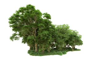 Green forest isolated on background. 3d rendering - illustration png