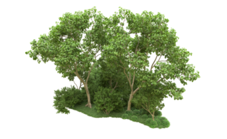 Green forest isolated on background. 3d rendering - illustration png