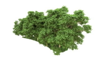 Green forest isolated on background. 3d rendering - illustration png