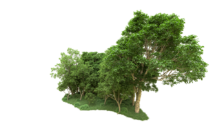 vert forêt isolé sur Contexte. 3d le rendu - illustration png