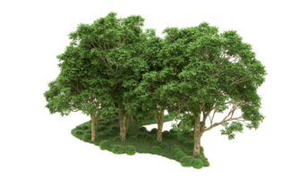 Green forest isolated on background. 3d rendering - illustration png