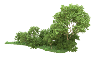 Green forest isolated on background. 3d rendering - illustration png