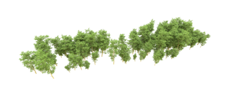 Green forest isolated on background. 3d rendering - illustration png