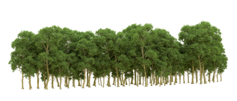 Grün Wald isoliert auf Hintergrund. 3d Rendern - - Illustration png