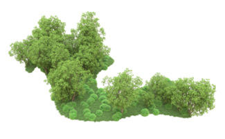 groen Woud geïsoleerd Aan achtergrond. 3d renderen - illustratie png