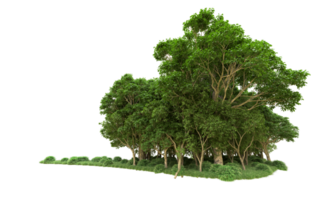 Green forest isolated on background. 3d rendering - illustration png