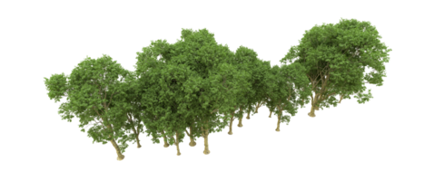 Green forest isolated on background. 3d rendering - illustration png