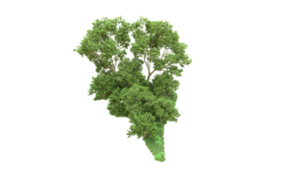 vert forêt isolé sur Contexte. 3d le rendu - illustration png