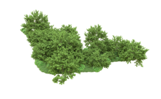 vert forêt isolé sur Contexte. 3d le rendu - illustration png