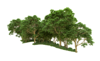 Green forest isolated on background. 3d rendering - illustration png