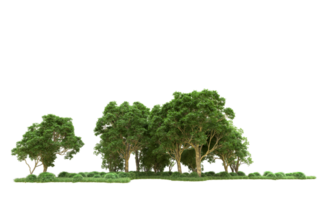 Green forest isolated on background. 3d rendering - illustration png