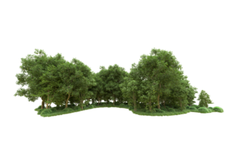 Green forest isolated on background. 3d rendering - illustration png