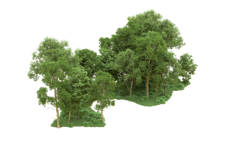 Grün Wald isoliert auf Hintergrund. 3d Rendern - - Illustration png