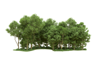 Green forest isolated on background. 3d rendering - illustration png