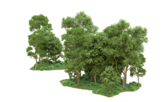 Green forest isolated on background. 3d rendering - illustration png