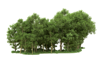 Green forest isolated on background. 3d rendering - illustration png