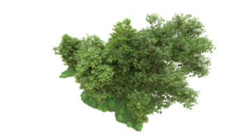 Green forest isolated on background. 3d rendering - illustration png