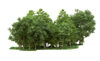 grön skog isolerat på bakgrund. 3d tolkning - illustration png