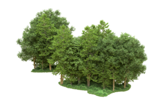 Green forest isolated on background. 3d rendering - illustration png