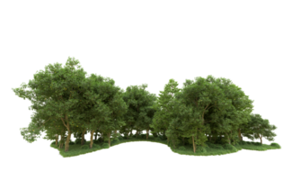 Green forest isolated on background. 3d rendering - illustration png