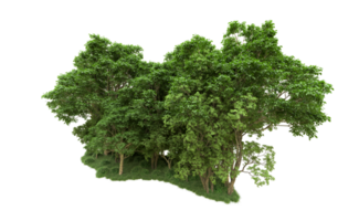 Green forest isolated on background. 3d rendering - illustration png