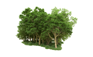 Green forest isolated on background. 3d rendering - illustration png