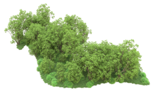 Green forest isolated on background. 3d rendering - illustration png