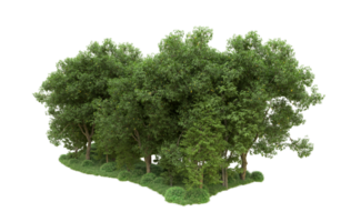 Green forest isolated on background. 3d rendering - illustration png