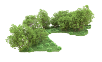 Green forest isolated on background. 3d rendering - illustration png