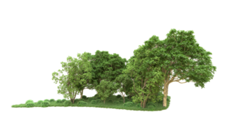 Green forest isolated on background. 3d rendering - illustration png