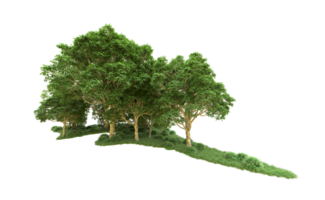 vert forêt isolé sur Contexte. 3d le rendu - illustration png