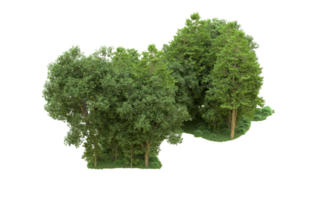 Green forest isolated on background. 3d rendering - illustration png