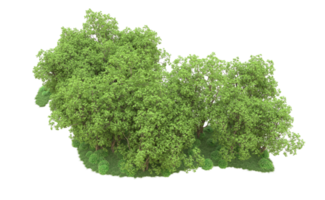 groen Woud geïsoleerd Aan achtergrond. 3d renderen - illustratie png