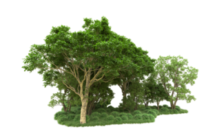 Green forest isolated on background. 3d rendering - illustration png