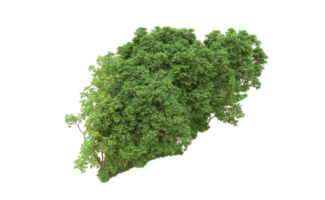 verde bosque aislado en antecedentes. 3d representación - ilustración png