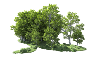 Grün Wald isoliert auf Hintergrund. 3d Rendern - - Illustration png