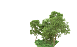 Green forest isolated on background. 3d rendering - illustration png