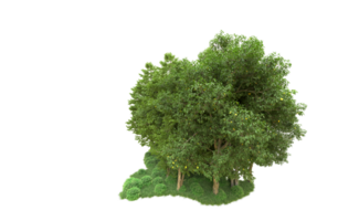 Green forest isolated on background. 3d rendering - illustration png