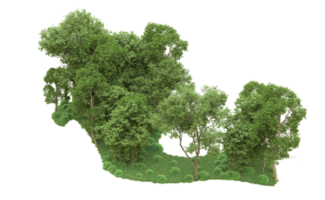 Green forest isolated on background. 3d rendering - illustration png