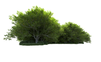 Green forest isolated on background. 3d rendering - illustration png