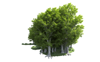 Green forest isolated on background. 3d rendering - illustration png