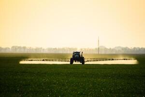 tractor with the help of a sprayer sprays liquid fertilizers on young wheat in the field. photo
