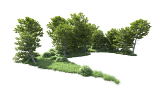 Green forest isolated on background. 3d rendering - illustration png