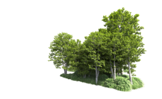 Green forest isolated on background. 3d rendering - illustration png