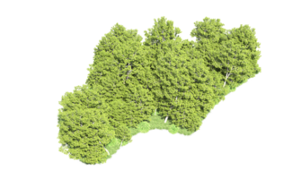 groen Woud geïsoleerd Aan achtergrond. 3d renderen - illustratie png